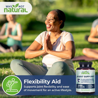 Glucosamine Chondroitin MSM – 120 Capsules