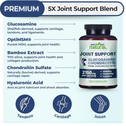 Glucosamine Chondroitin MSM – 120 Capsules