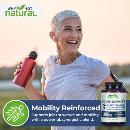 Glucosamine Chondroitin MSM – 120 Capsules